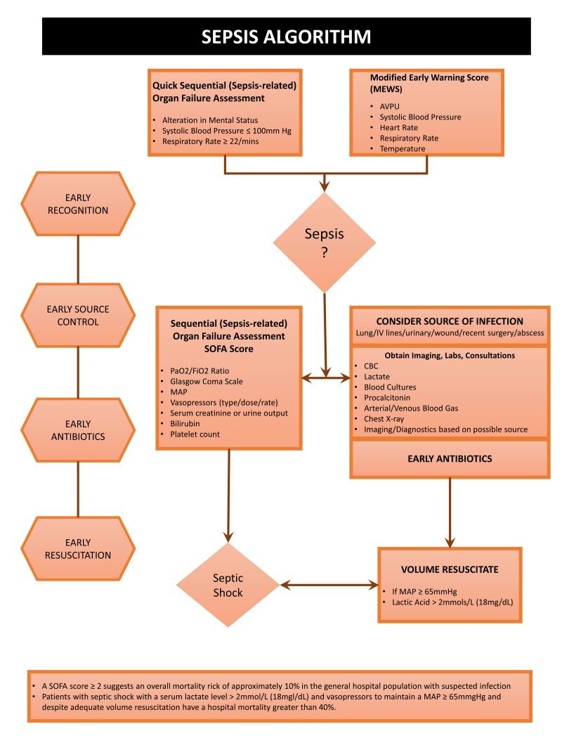 sepsis-tulane-university-school-medicine-critical-care-project