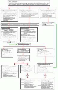 Asthma Flowchart